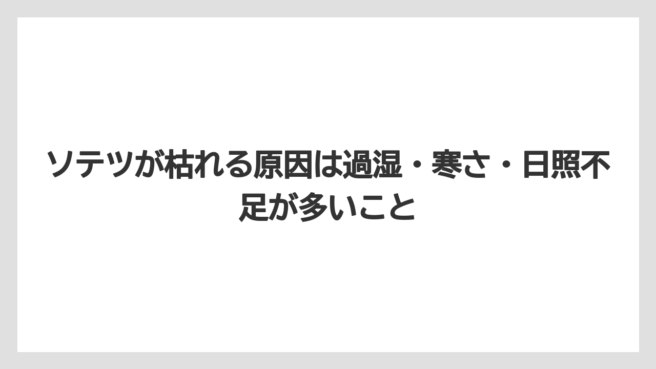 【アガベ】【バラ】【栽培】【猫】ソテツが枯れる原因は過湿・寒さ・日照不足が多いこと