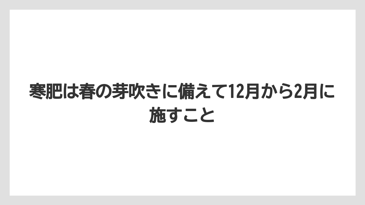 【スモークツリー】【剪定】【枯れ】【栽培】寒肥は春の芽吹きに備えて12月から2月に施すこと