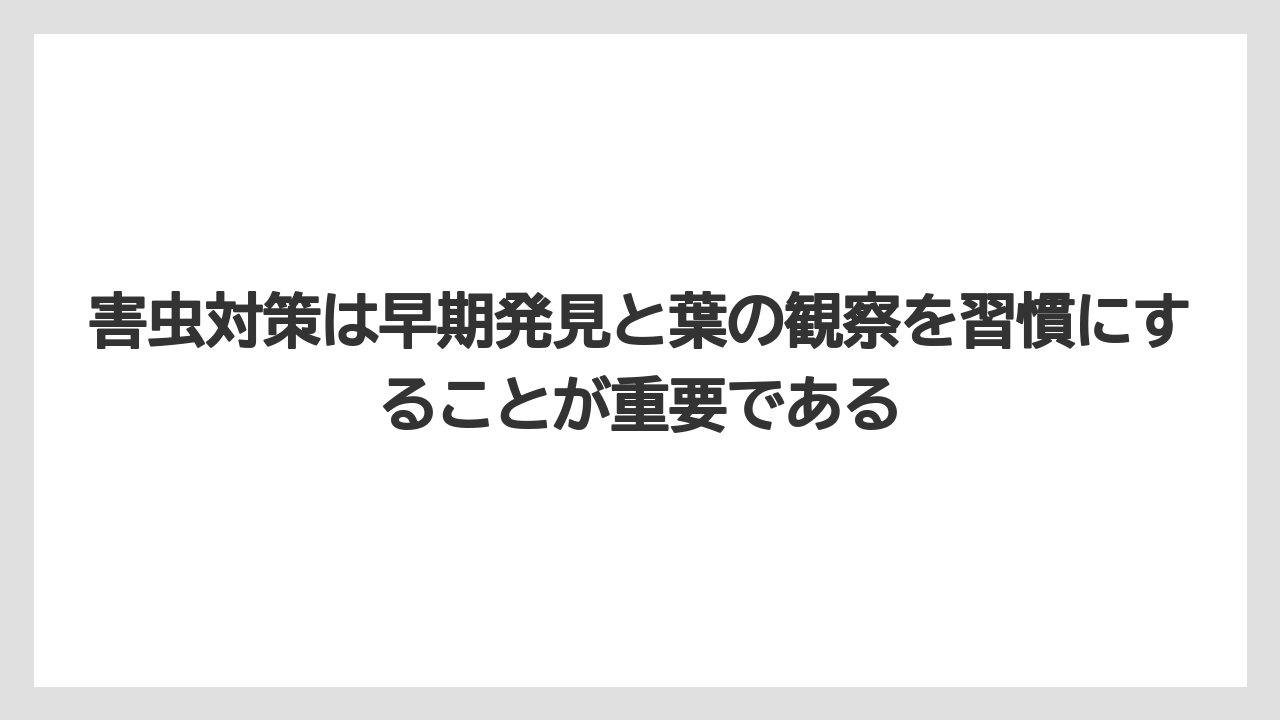 【レモン】【栽培】【農業】害虫対策は早期発見と葉の観察を習慣にすることが重要である