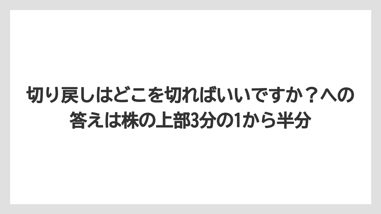 【栽培】【農園】【農業】切り戻しはどこを切ればいいですか？への答えは株の上部3分の1から半分
