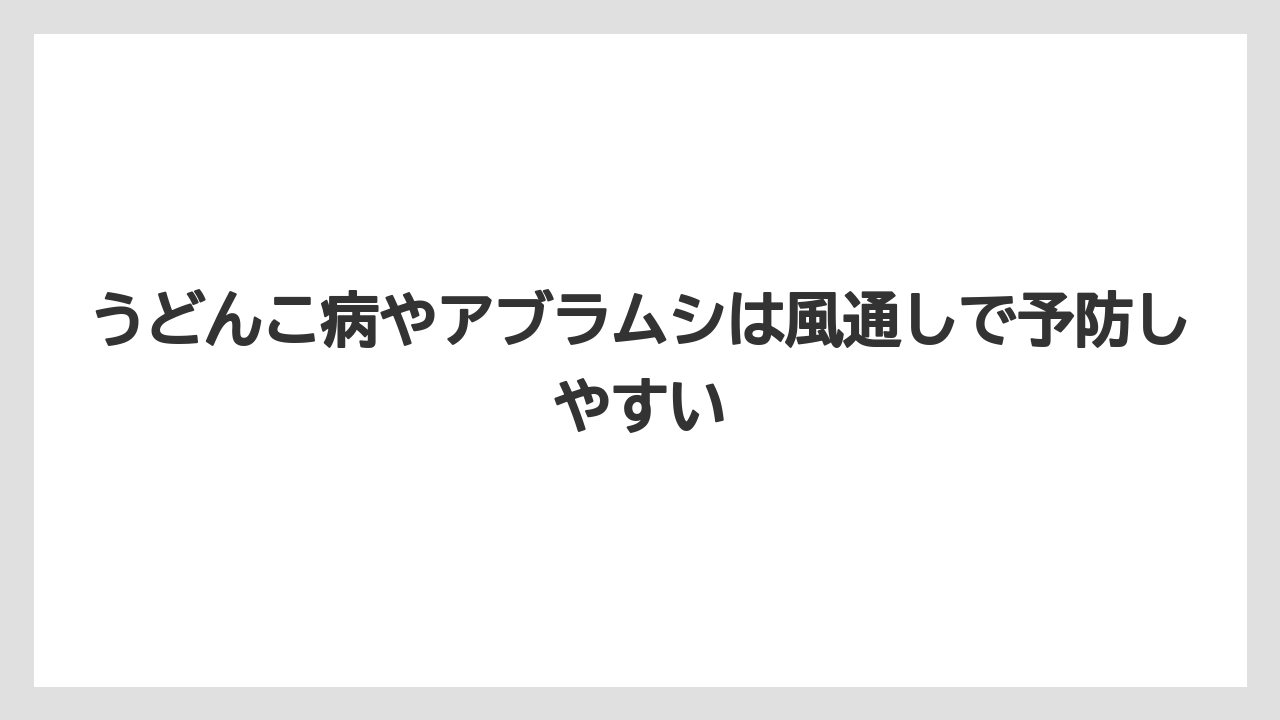 【栽培】【豆苗】【農業】うどんこ病やアブラムシは風通しで予防しやすい