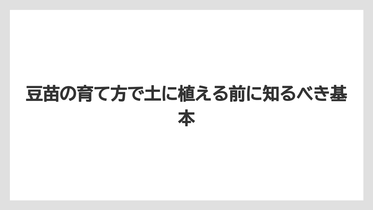 豆苗の育て方で土に植える前に知るべき基本