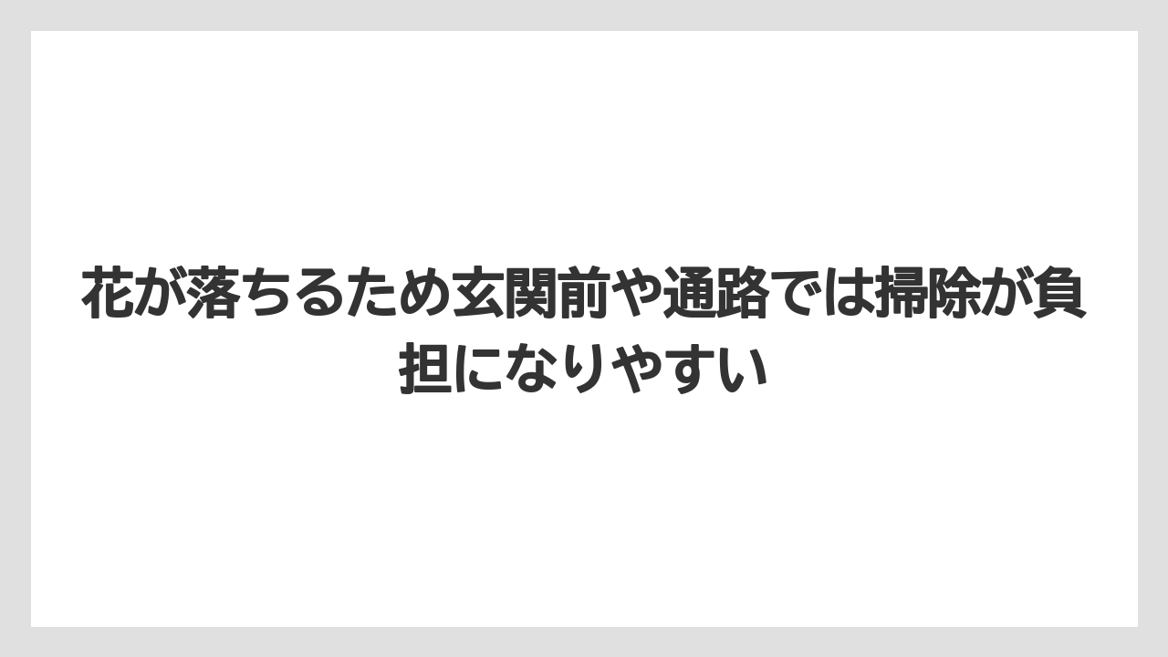 【いけない】【後悔】【栽培】【植え】花が落ちるため玄関前や通路では掃除が負担になりやすい
