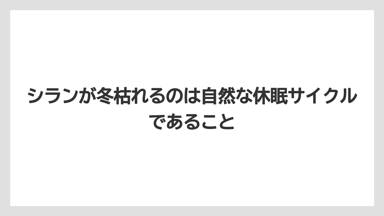 【栽培】【農園】【農業】シランが冬枯れるのは自然な休眠サイクルであること