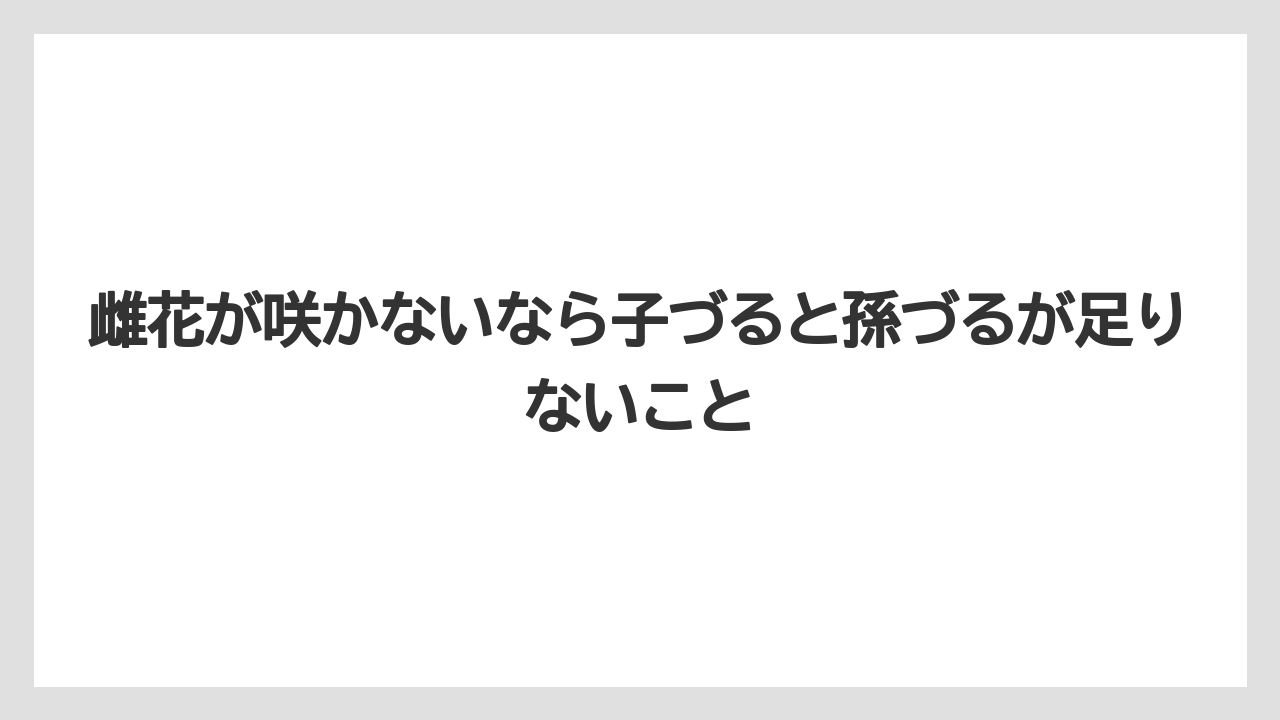 【ゴーヤ】【栽培】【花】雌花が咲かないなら子づると孫づるが足りないこと