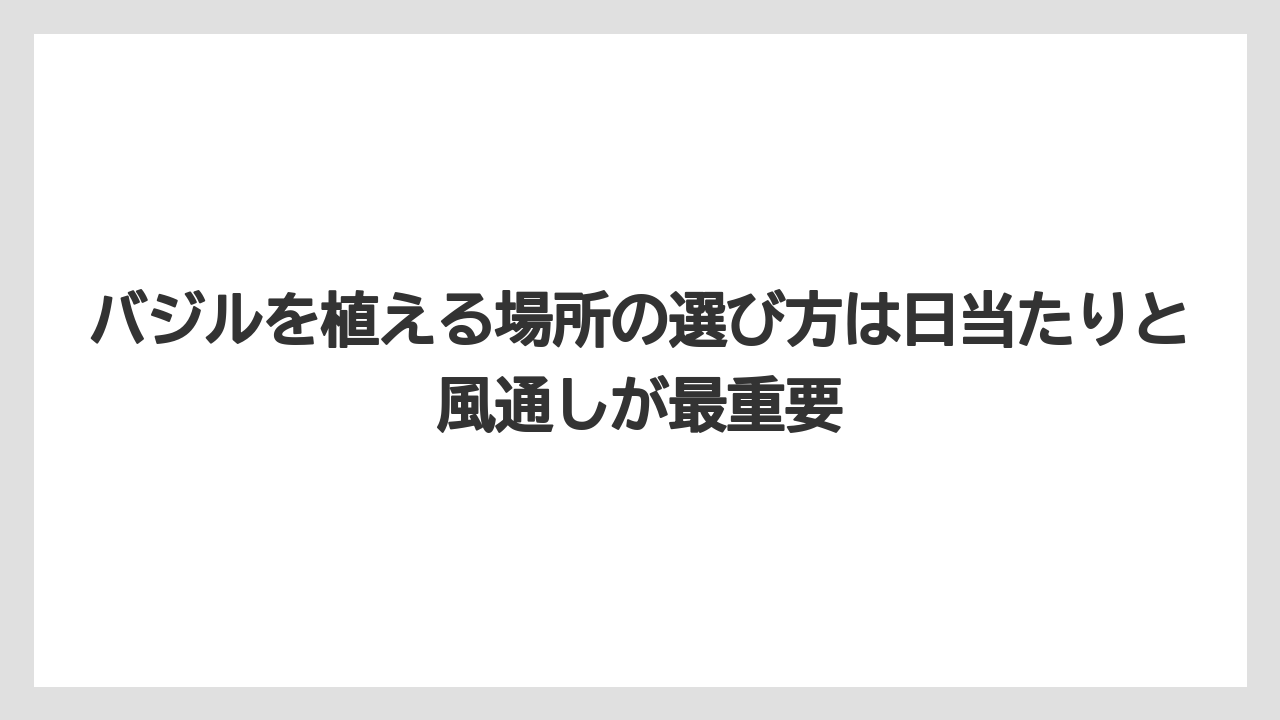 【いけない】【バジル】【後悔】【植え】【育て方】バジルを植える場所の選び方は日当たりと風通しが最重要