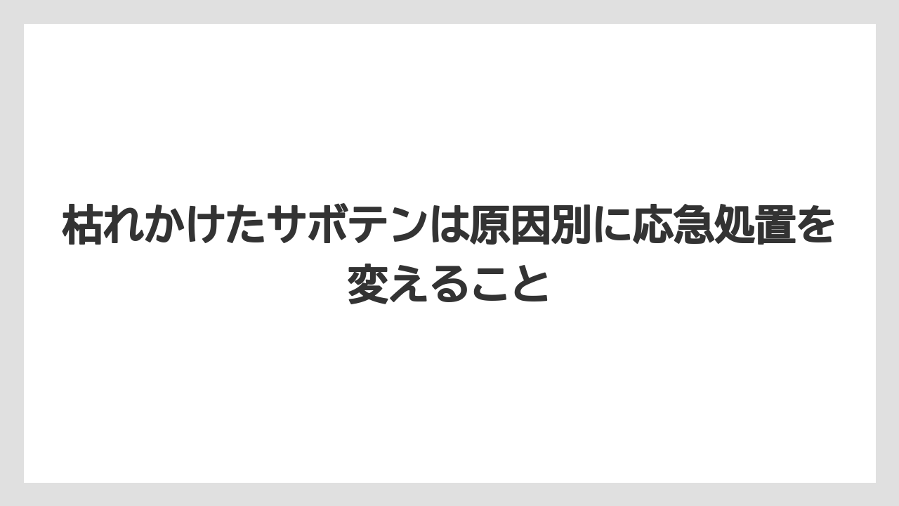 【サボテン】【危険】【枯れ】【栽培】枯れかけたサボテンは原因別に応急処置を変えること