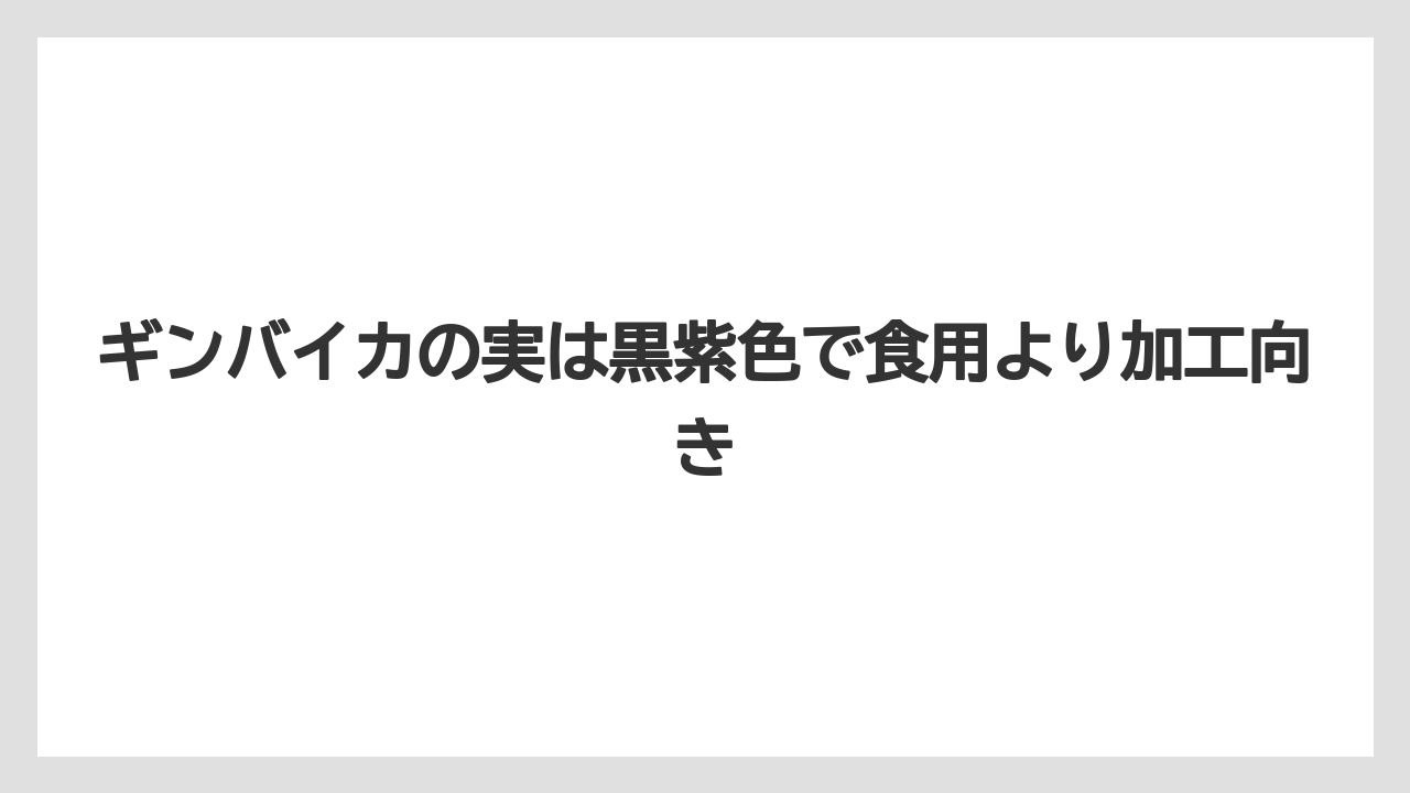 【栽培】【植え】【農業】ギンバイカの実は黒紫色で食用より加工向き