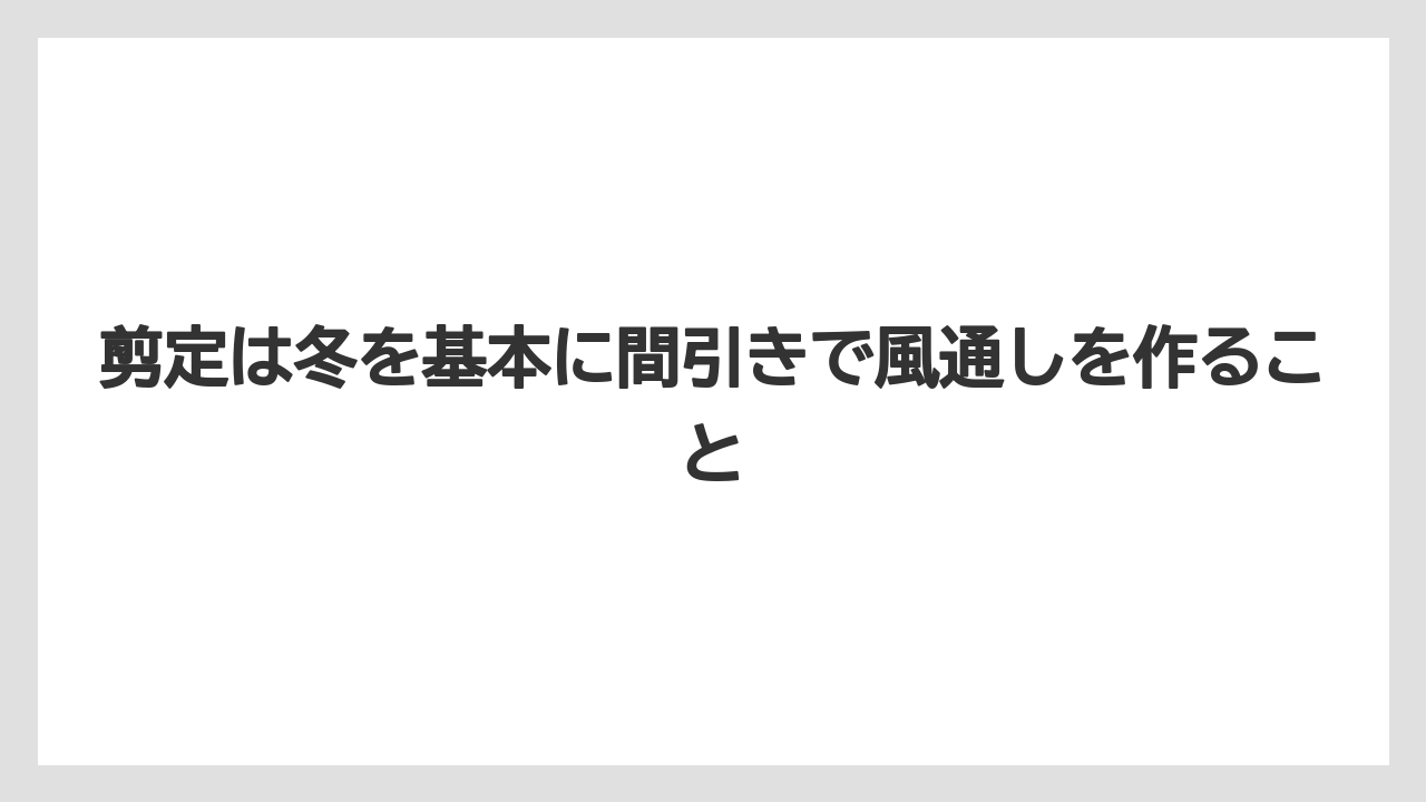 【ソヨゴ】【栽培】【農業】剪定は冬を基本に間引きで風通しを作ること
