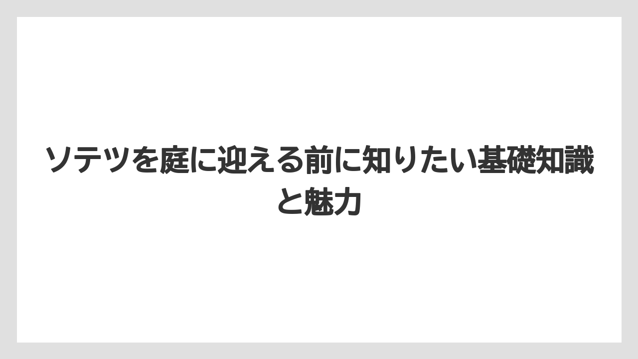ソテツを庭に迎える前に知りたい基礎知識と魅力