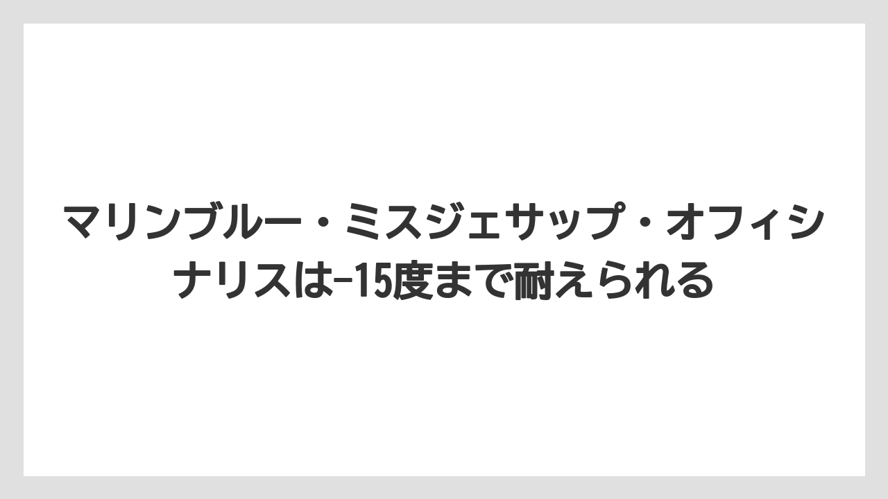 【栽培】【農園】【農業】マリンブルー・ミスジェサップ・オフィシナリスは-15度まで耐えられる