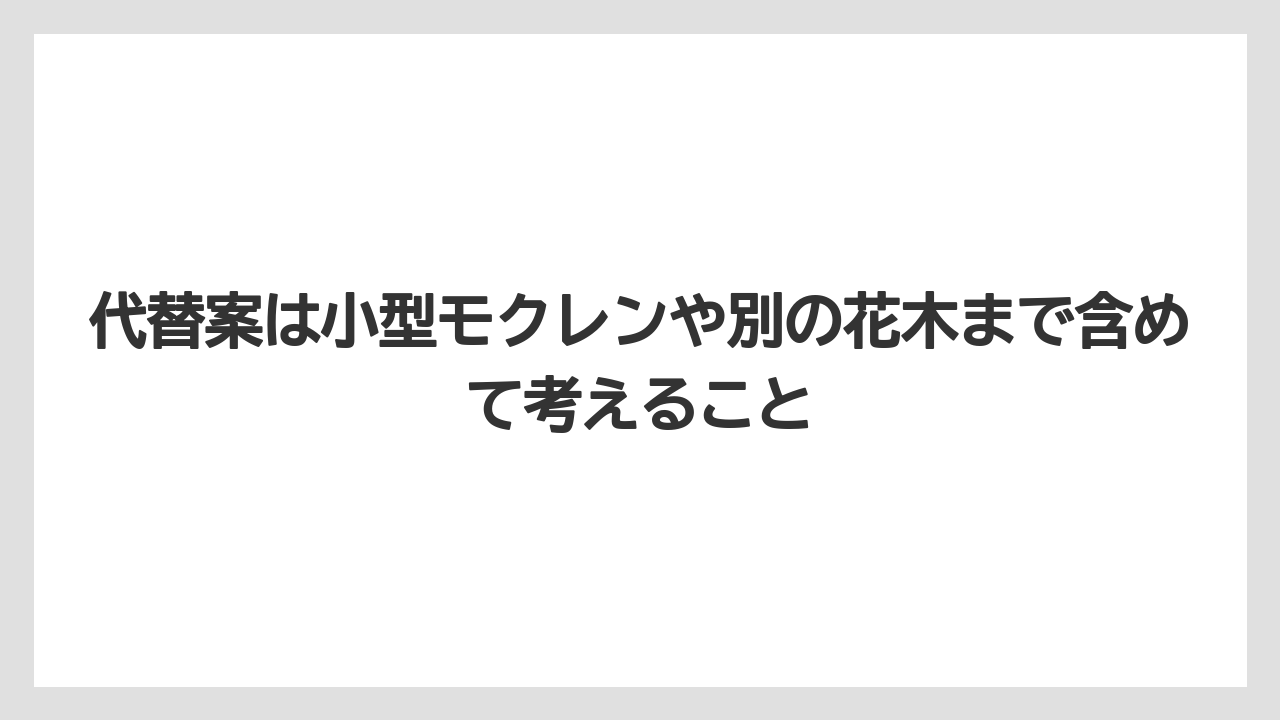 【栽培】【農園】【農業】代替案は小型モクレンや別の花木まで含めて考えること