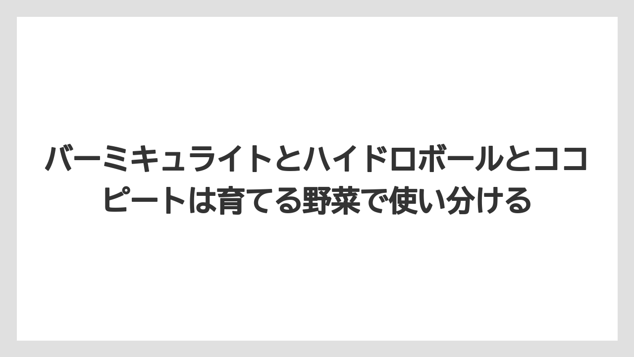 【100均】【しそ】【バーミキュライト】【栽培】【水耕栽培】バーミキュライトとハイドロボールとココピートは育てる野菜で使い分ける