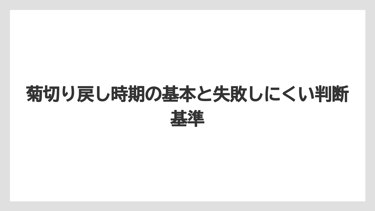 菊切り戻し時期の基本と失敗しにくい判断基準