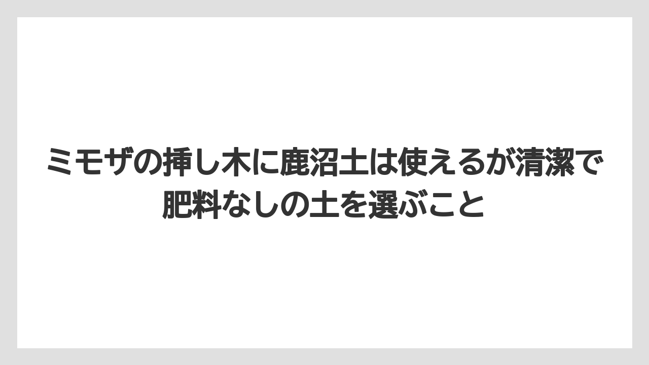 【バラ】【ミモザ】【メネデール】【栽培】【肥料】ミモザの挿し木に鹿沼土は使えるが清潔で肥料なしの土を選ぶこと