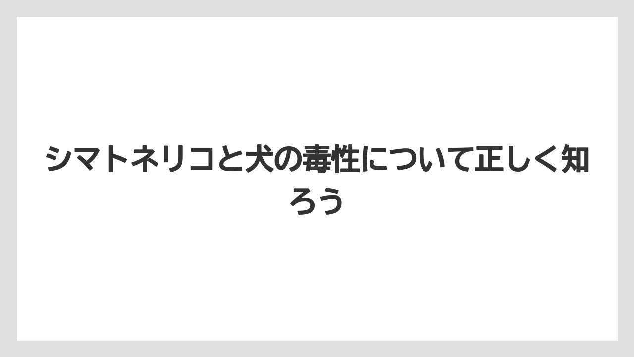 シマトネリコと犬の毒性について正しく知ろう