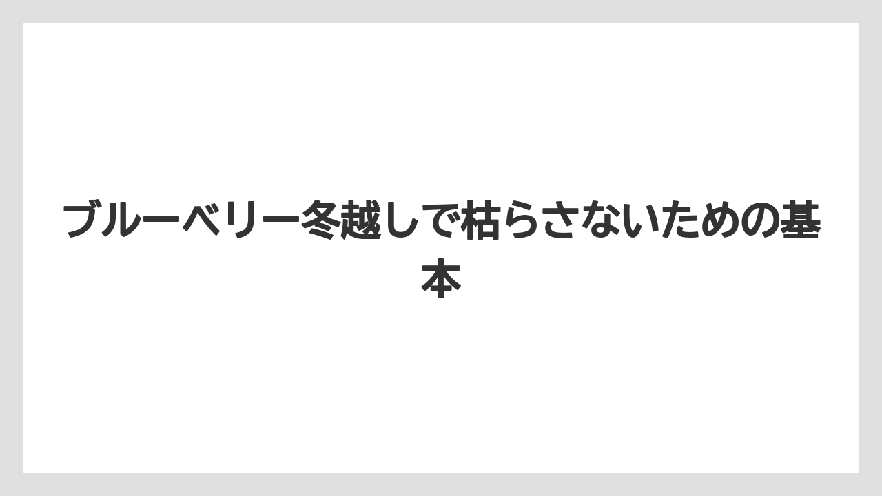 ブルーベリー冬越しで枯らさないための基本
