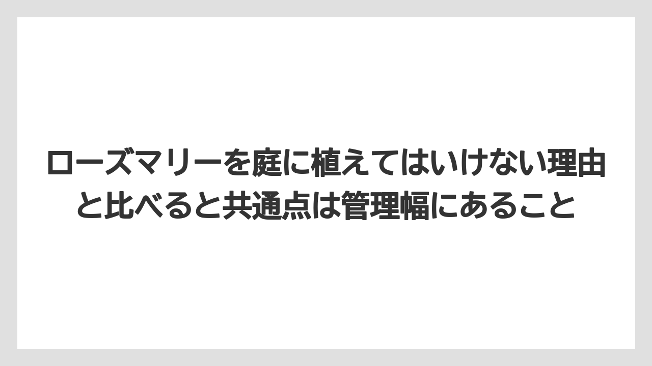 【栽培】【農園】【農業】ローズマリーを庭に植えてはいけない理由と比べると共通点は管理幅にあること