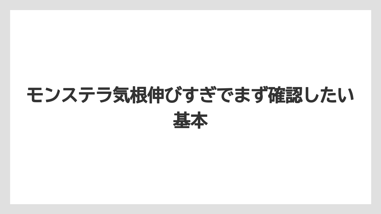 モンステラ気根伸びすぎでまず確認したい基本