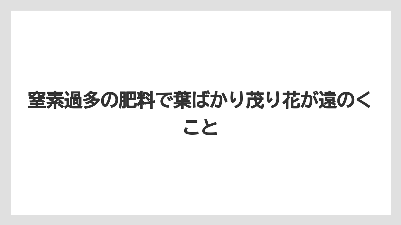 【栽培】【農園】【農業】窒素過多の肥料で葉ばかり茂り花が遠のくこと
