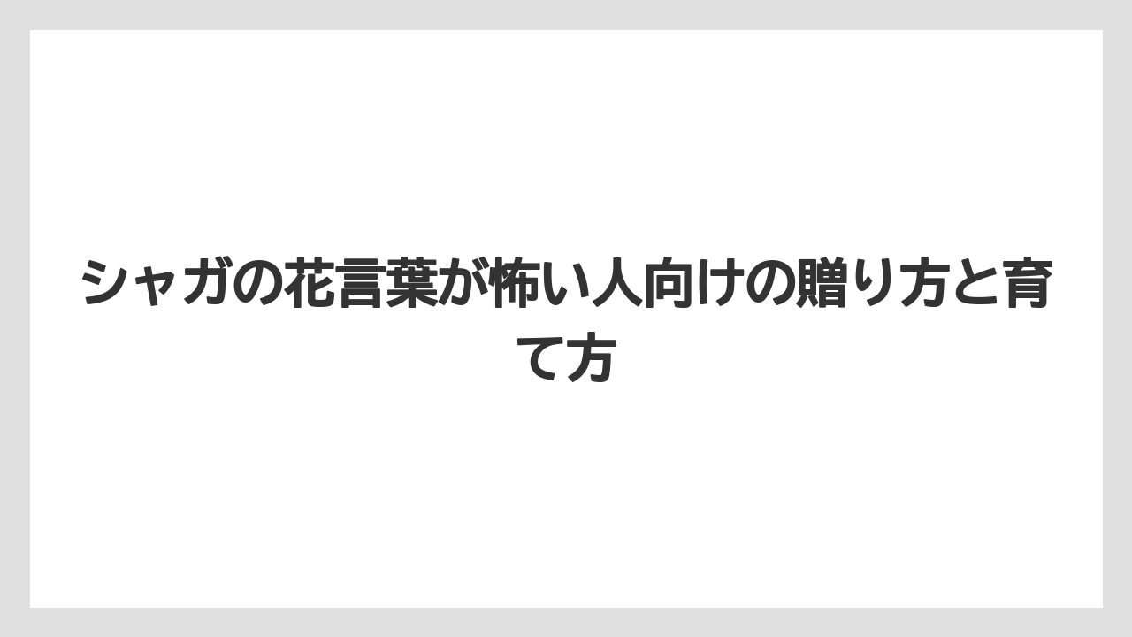 【栽培】【花】【葉】花言葉「私は全てを失った」の花とは別物なので混同しないこと