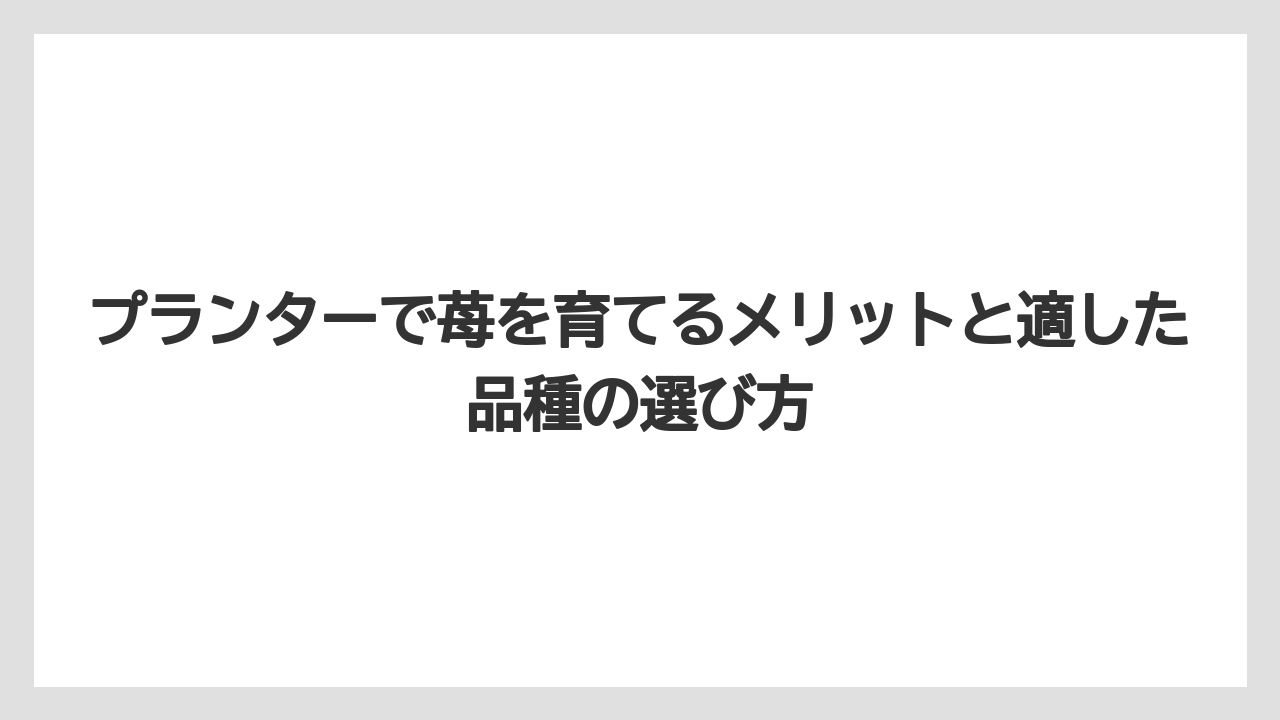 【栽培】【植え】【農業】プランターで苺を育てるメリットと適した品種の選び方