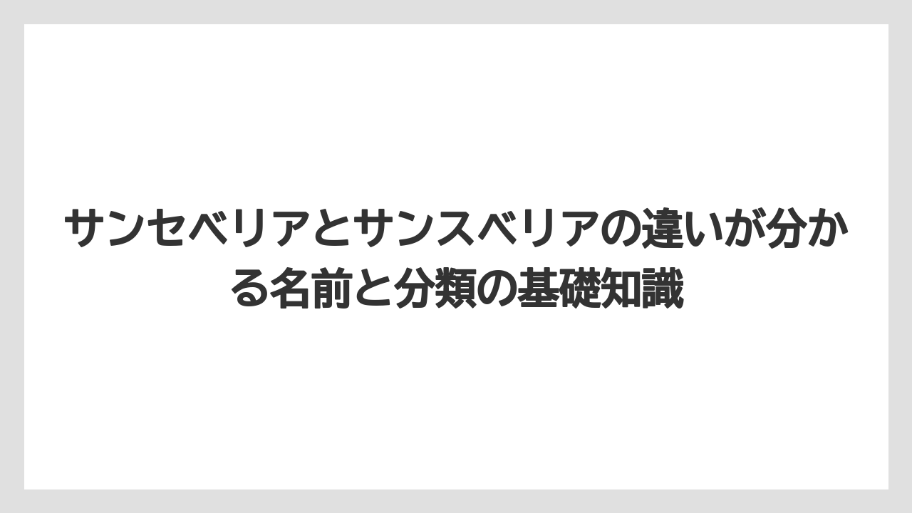 サンセベリアとサンスベリアの違いが分かる名前と分類の基礎知識
