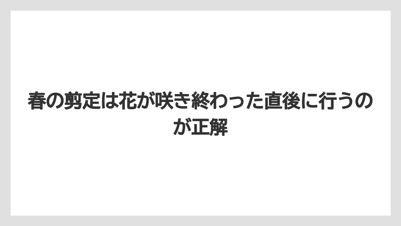 【剪定】【庭】【植え】【育て方】【花】春の剪定は花が咲き終わった直後に行うのが正解