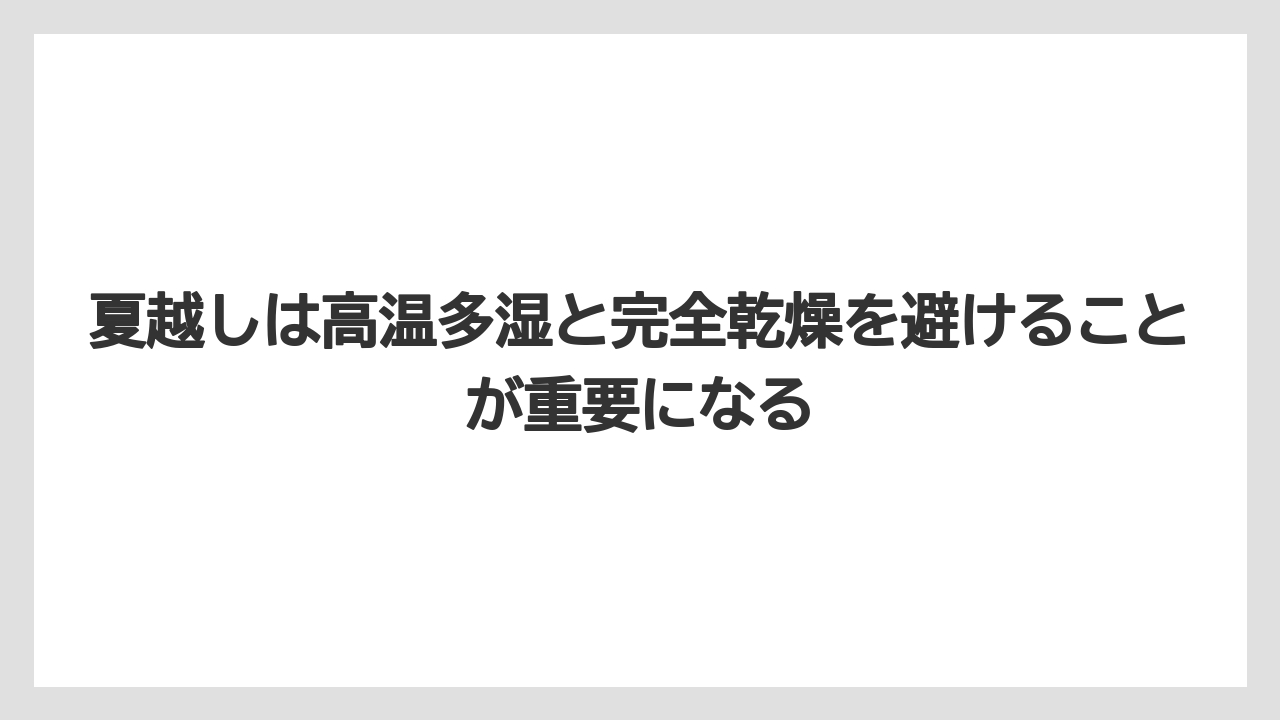 【栽培】【農園】【農業】夏越しは高温多湿と完全乾燥を避けることが重要になる