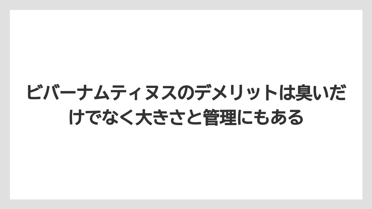 【栽培】【農園】【農業】ビバーナムティヌスのデメリットは臭いだけでなく大きさと管理にもある