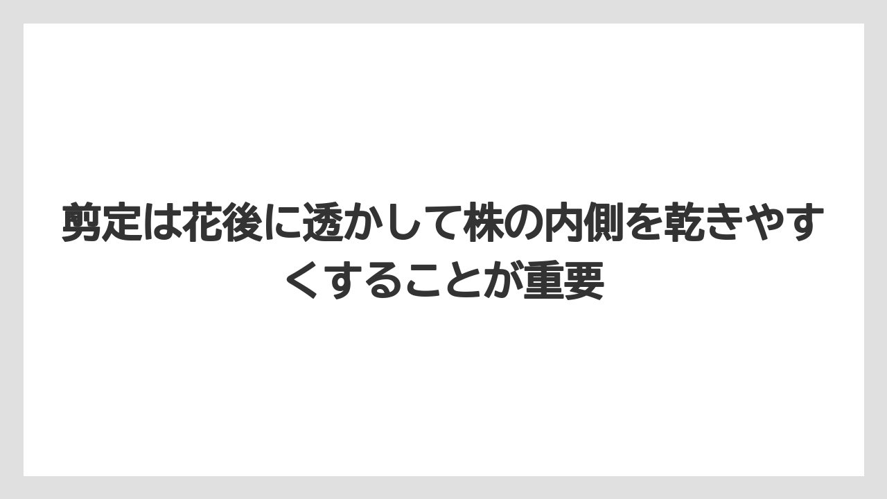 【栽培】【農園】【農業】剪定は花後に透かして株の内側を乾きやすくすることが重要