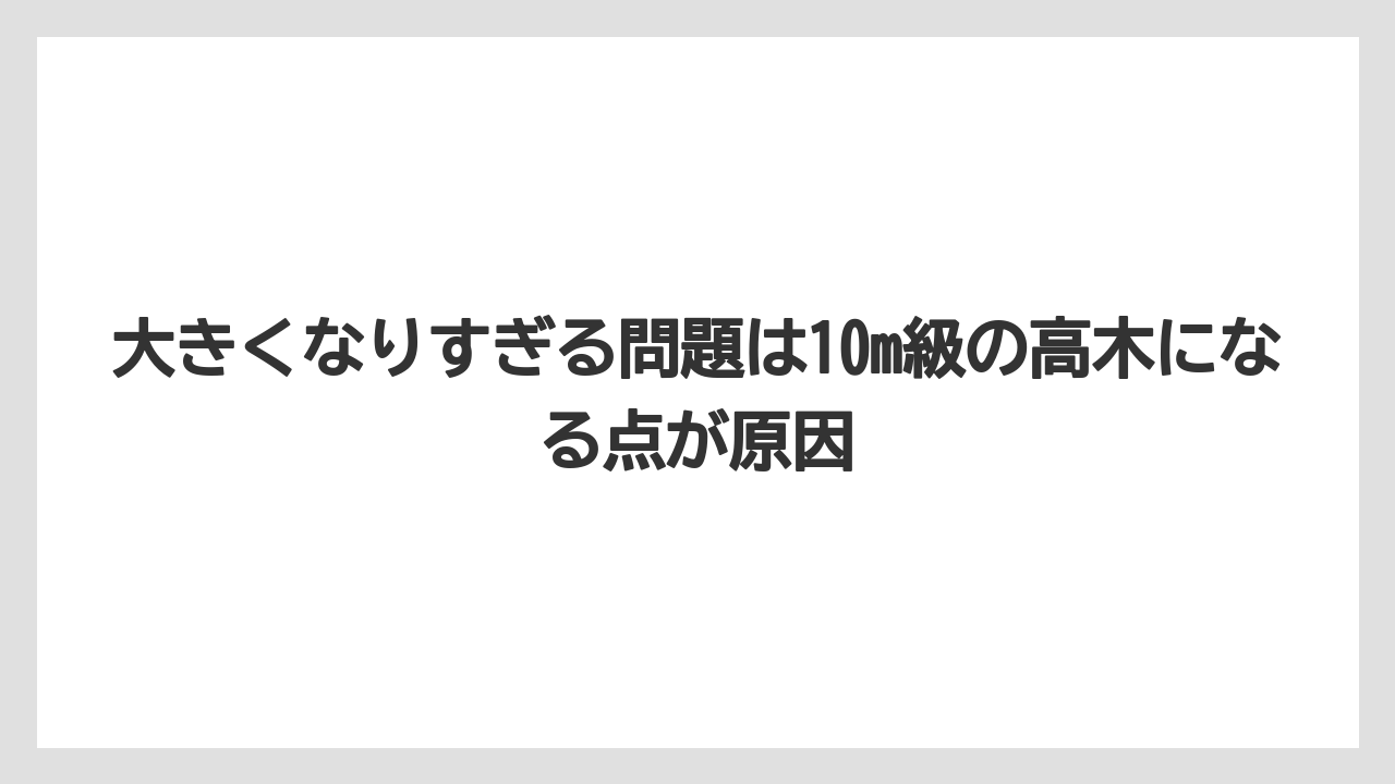 【栽培】【農園】【農業】大きくなりすぎる問題は10m級の高木になる点が原因