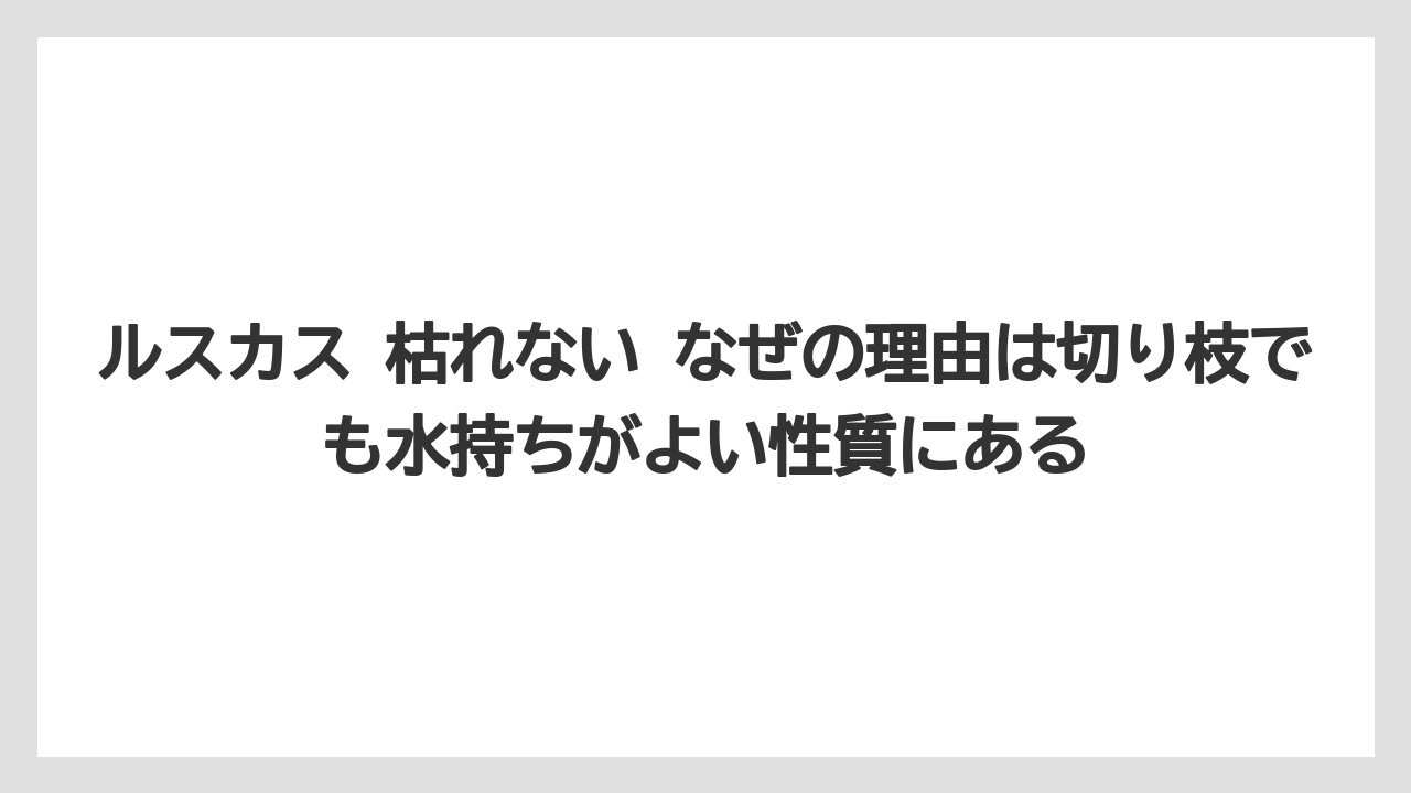 【ルスカス】【栽培】【花】【葉】ルスカス 枯れない なぜの理由は切り枝でも水持ちがよい性質にある