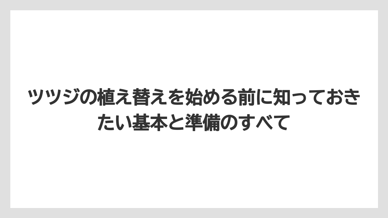 ツツジの植え替えを始める前に知っておきたい基本と準備のすべて