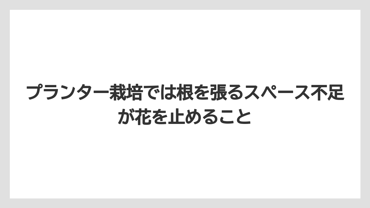 【ゴーヤ】【栽培】【花】プランター栽培では根を張るスペース不足が花を止めること