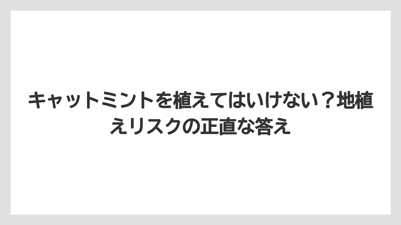 【ミント】【栽培】【猫】キャットミントを植えてはいけない？地植えリスクの正直な答え