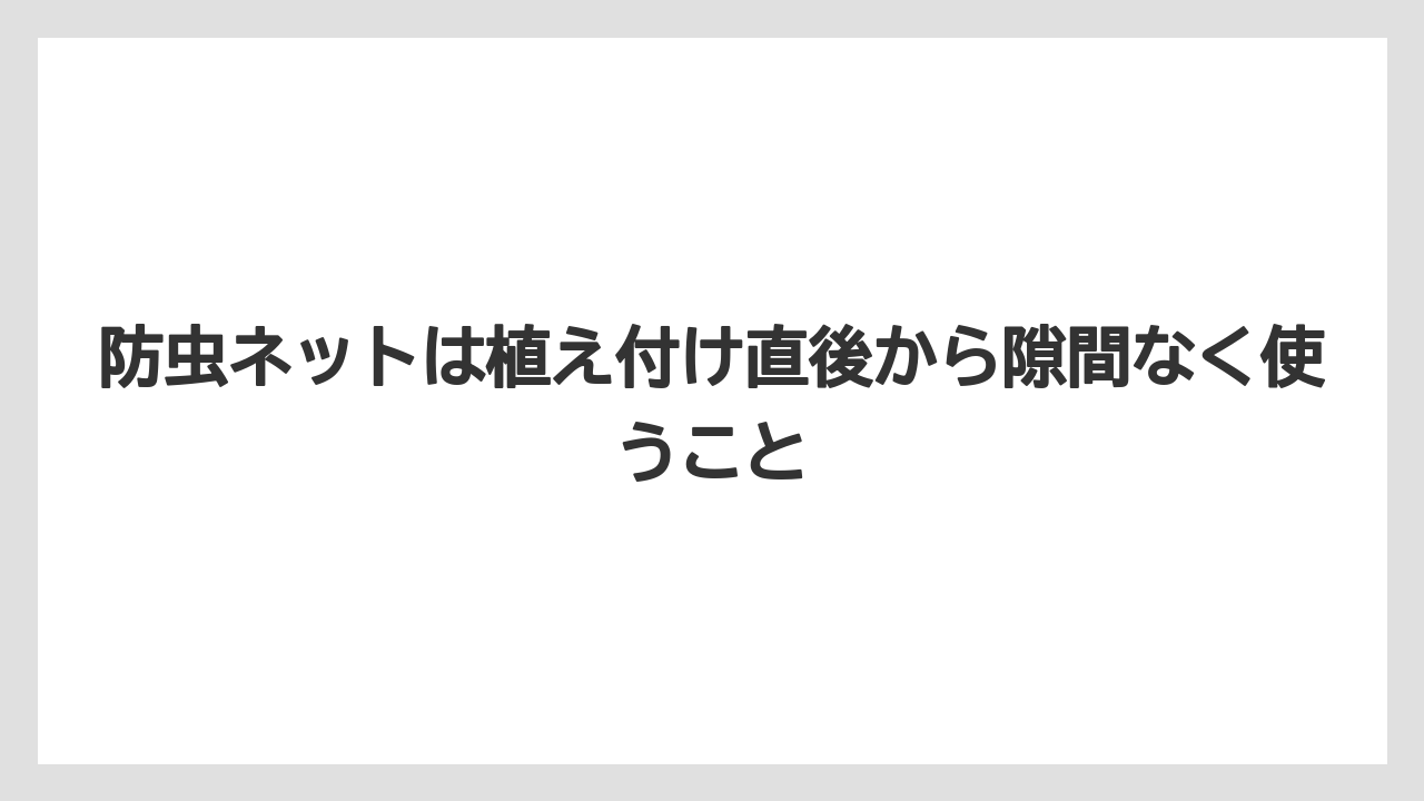 【コーヒー】【大葉】【栽培】【肥料】【農業】防虫ネットは植え付け直後から隙間なく使うこと