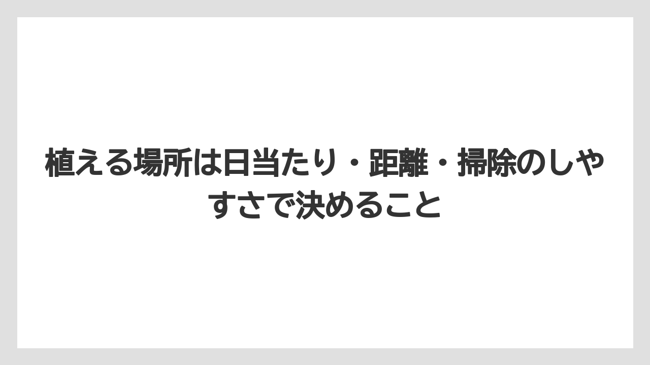 【栽培】【農園】【農業】植える場所は日当たり・距離・掃除のしやすさで決めること