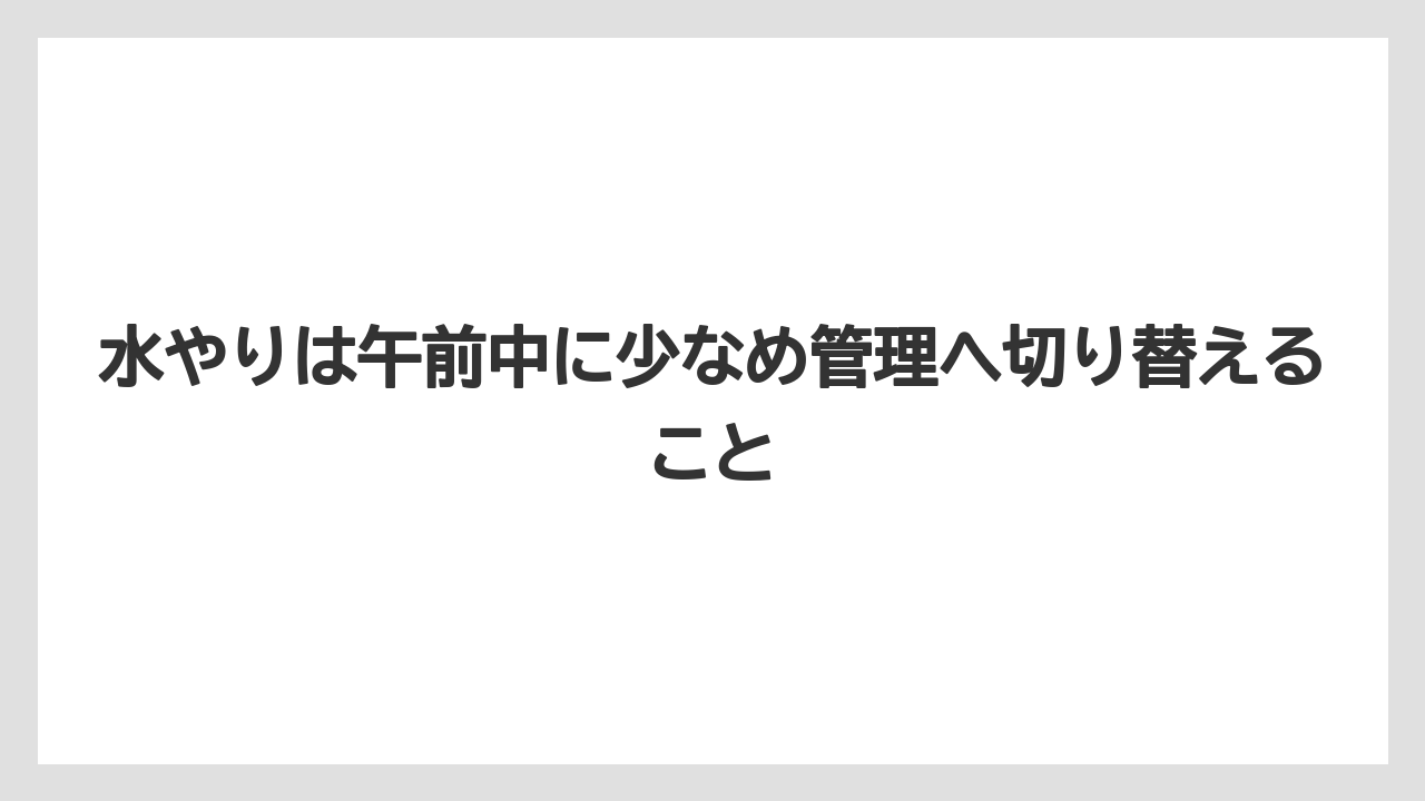 水やりは午前中に少なめ管理へ切り替えること
