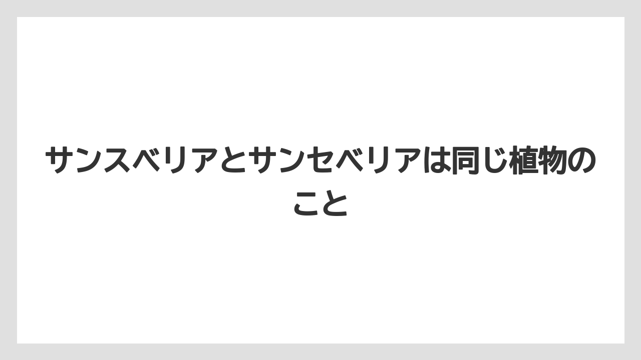 【サンスベリア】【栽培】【農業】サンスベリアとサンセベリアは同じ植物のこと