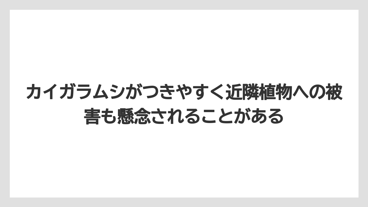 【いけない】【庭】【栽培】【植え】【育て方】カイガラムシがつきやすく近隣植物への被害も懸念されることがある