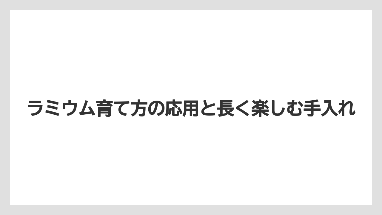 【バラ】【栽培】【肥料】植え付けと植え替えは真夏を避けて春か秋に行う