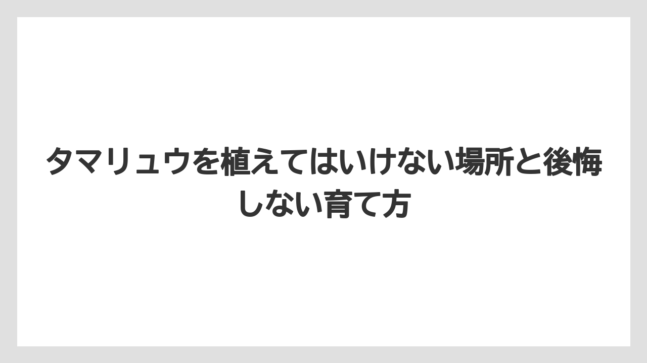 【いけない】【後悔】【栽培】【植え】タマリュウ 庭 画像を見るときは数年後の盛り上がりまで想像することが大切
