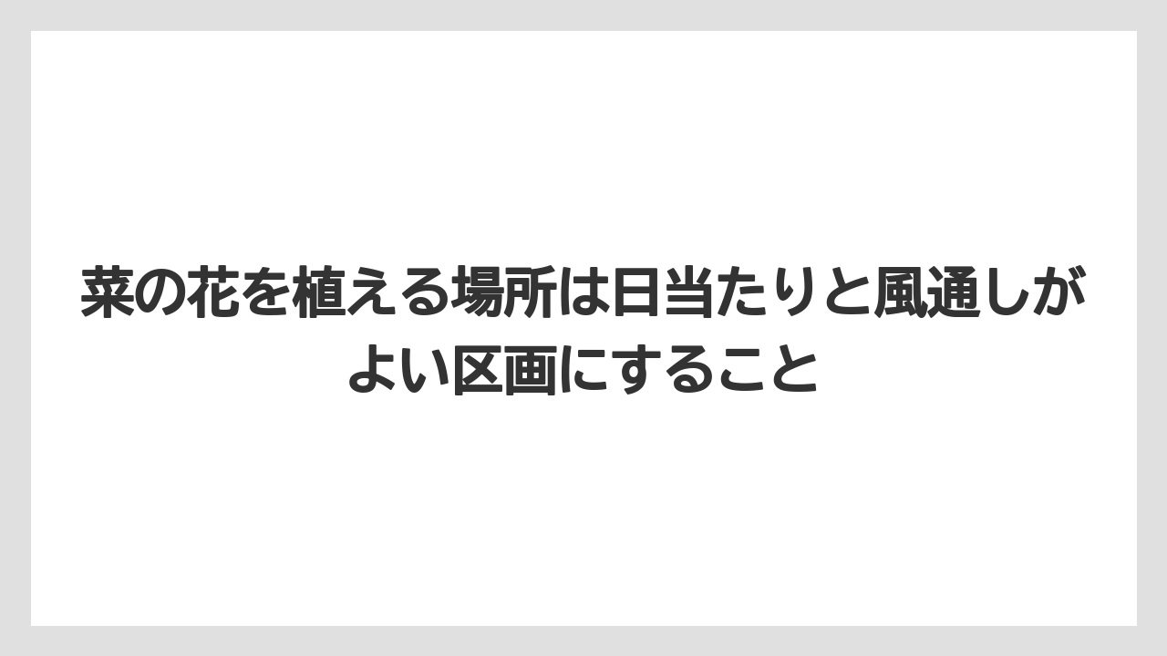 【栽培】【農園】【農業】菜の花を植える場所は日当たりと風通しがよい区画にすること