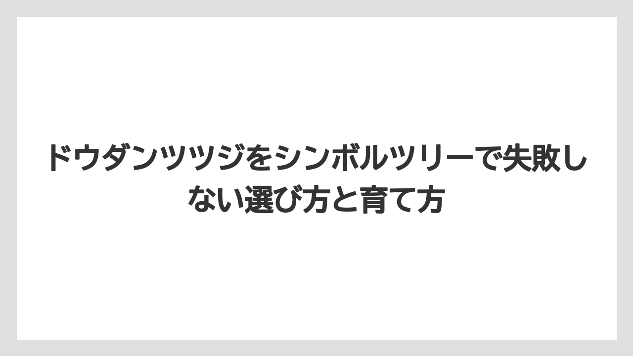 【栽培】【農園】【農業】ドウダンツツジはアオダモやオリーブと組み合わせると立体感が出やすいこと