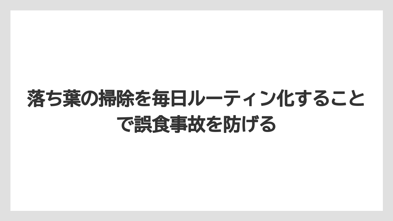 【シマトネリコ】【庭】【栽培】【毒】落ち葉の掃除を毎日ルーティン化することで誤食事故を防げる