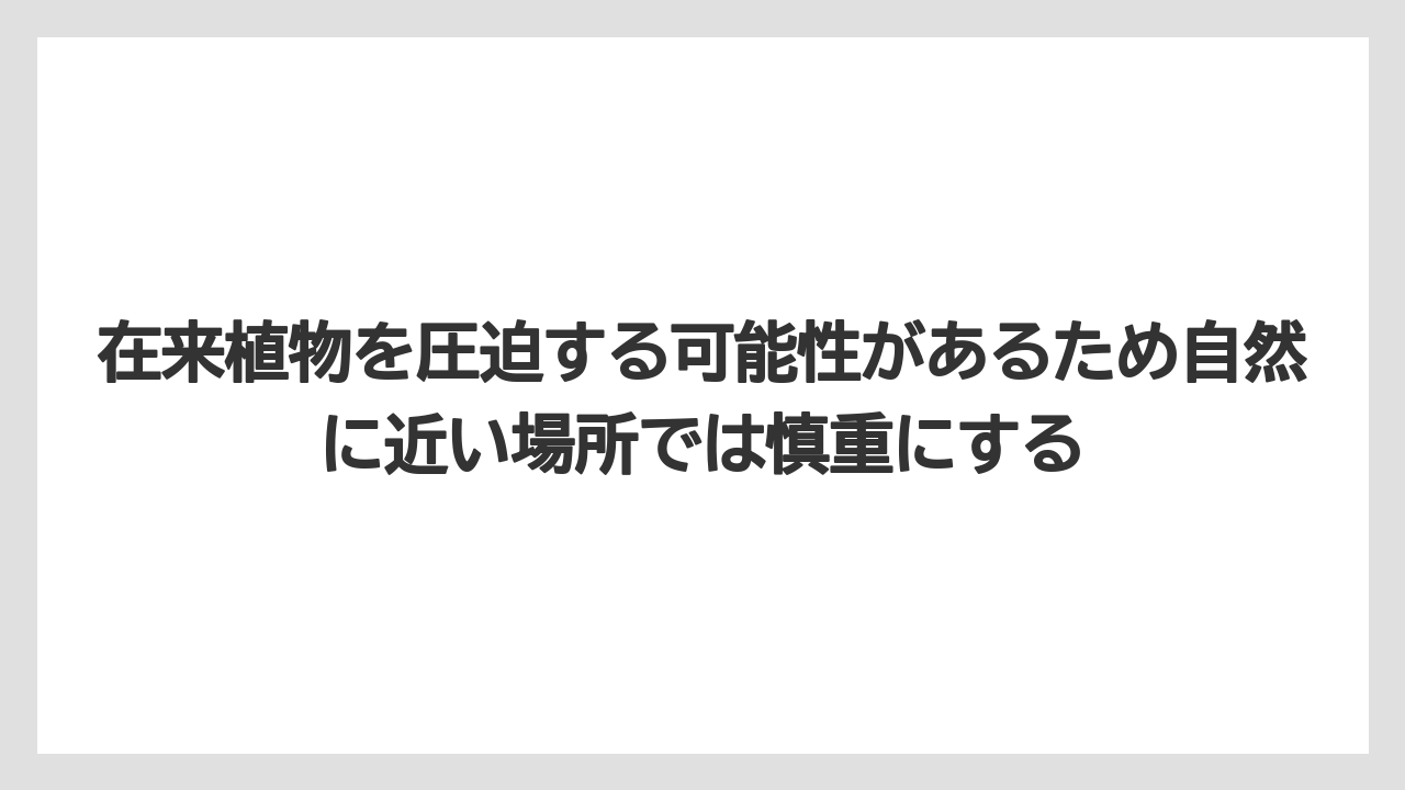【いけない】【後悔】【栽培】【植え】在来植物を圧迫する可能性があるため自然に近い場所では慎重にする
