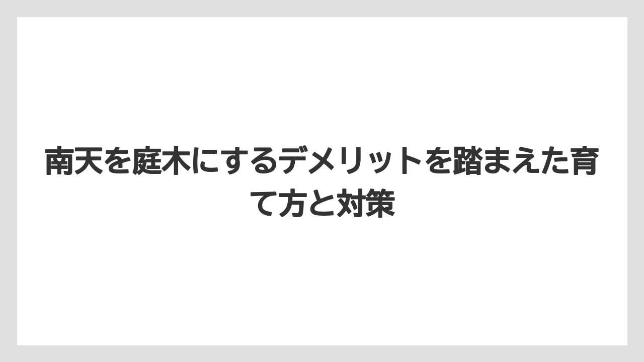 【栽培】【農園】【農業】南天の鉢植えについて知っておきたいメリットと注意点