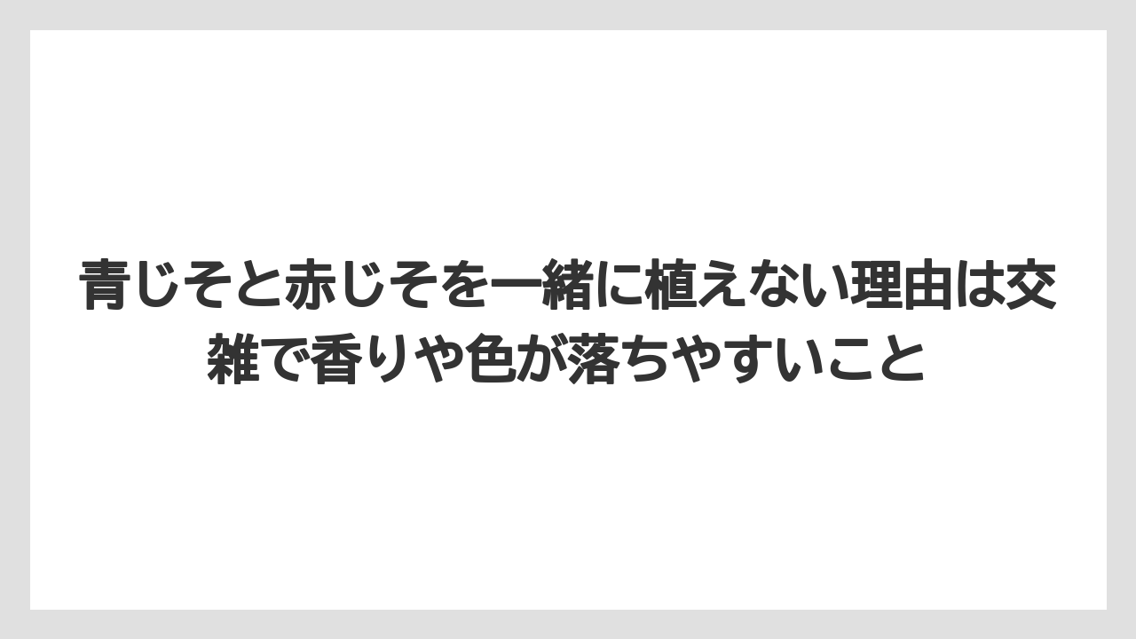 【いけない】【大葉】【庭】【栽培】【植え】青じそと赤じそを一緒に植えない理由は交雑で香りや色が落ちやすいこと