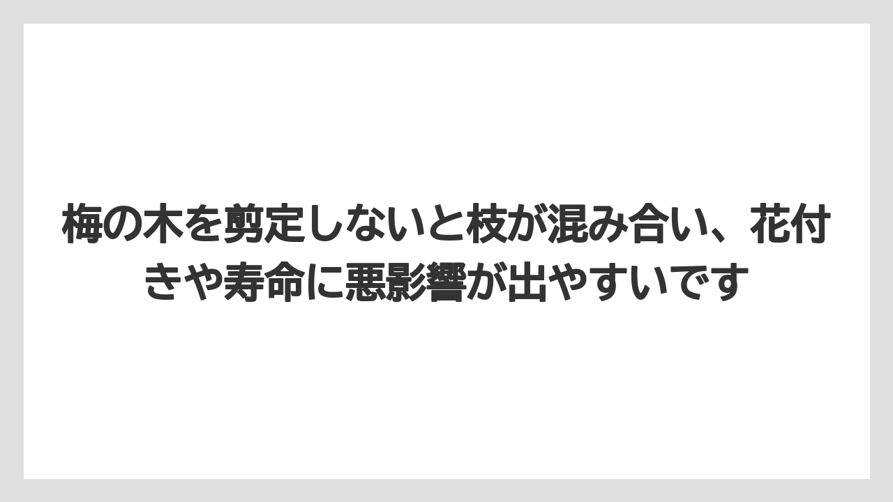 梅の木を剪定しないと枝が混み合い、花付きや寿命に悪影響が出やすいです